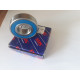 6002 2rs Ems ISB Italy